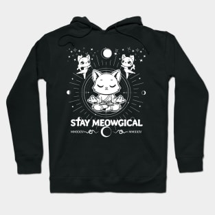 Zen Cats - Cute Kawaii Cats in Zen Mode Hoodie